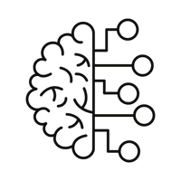 Acetyl-L-Carnitine — Cognitive Support